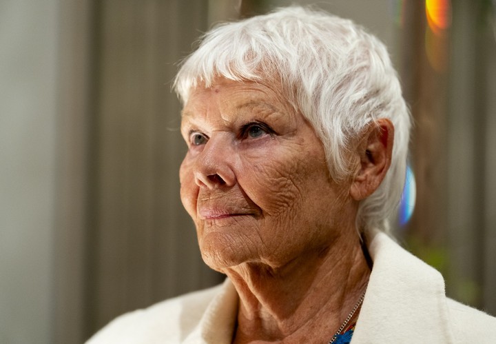 Starnutie celebrít - Judi Dench 